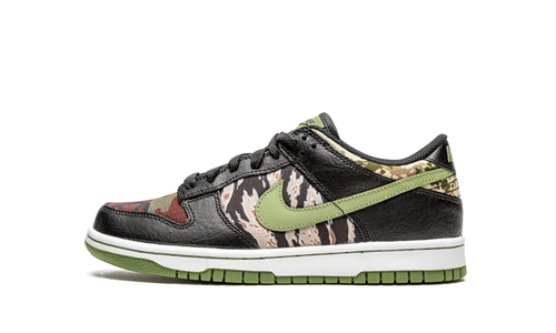 Nike Dunk Low (GS) “Crazy Camo”